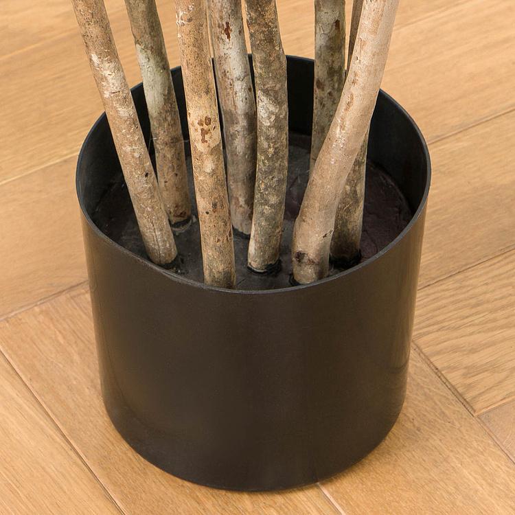 Искусственное дерево Nitida Nolina 150 cm - ракурс 4