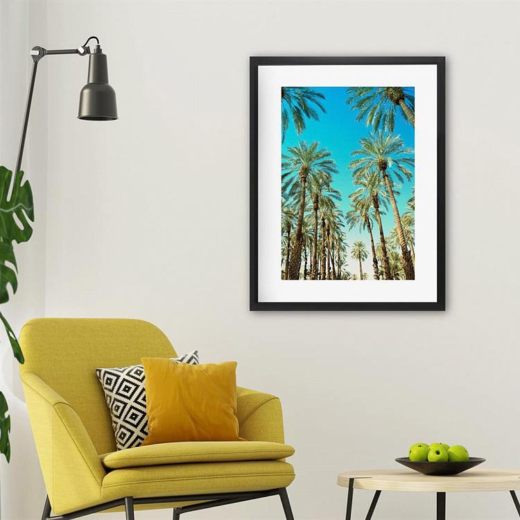 Фото-принт в чёрной раме Пальмы Беверли-Хиллз Beverly Hills Palms, Studio Frame