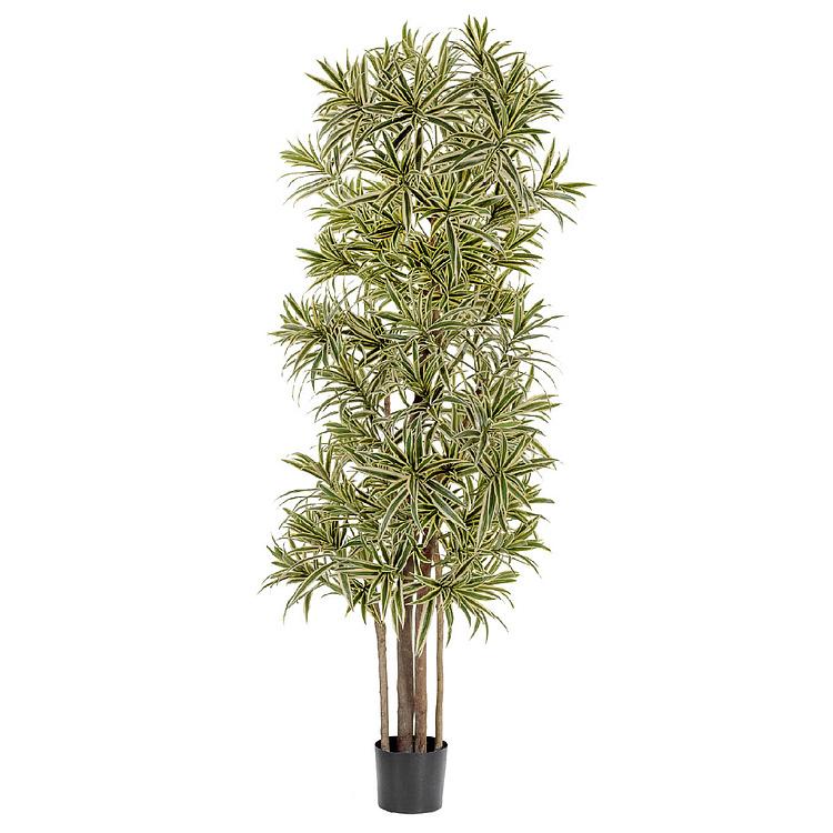 Искусственное дерево Golden Dracaena Reflexa 120 cm