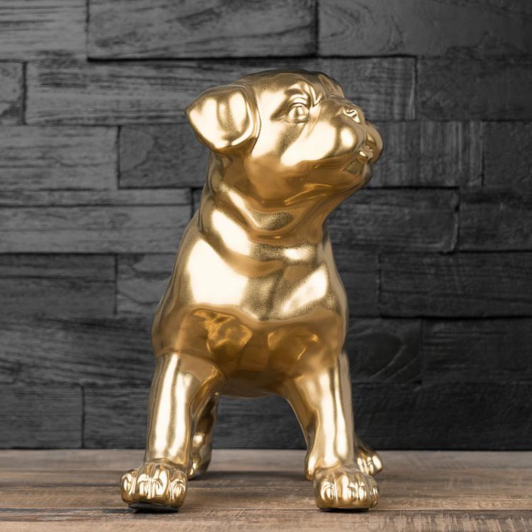 Статуэтка Золотой Мопс Golden Pug