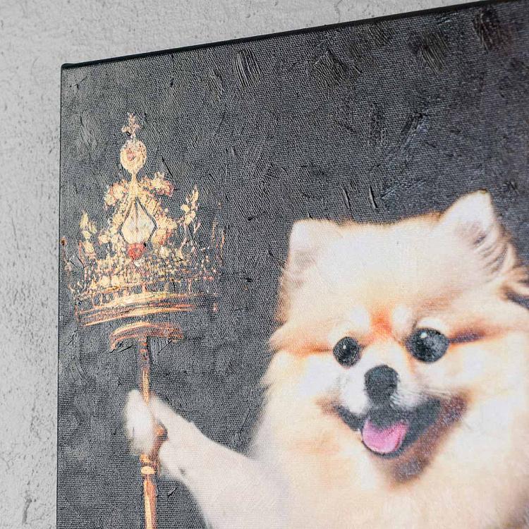 Картина Шпиц, холст, акрил Canvas Acrylic Painting Pomeranian