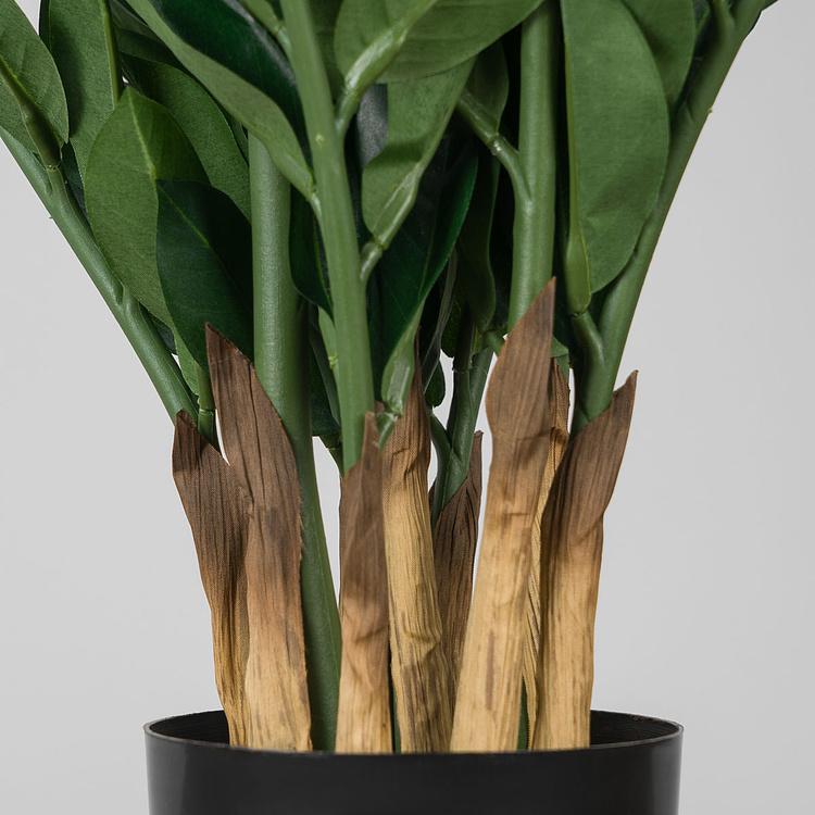 Искусственное растение Zamiokulkas Middle Bush 75 cm - ракурс 4