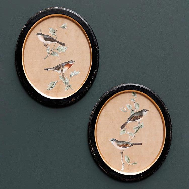 Набор из двух принтов Птицы Филомены Set Of 2 Oval Frames With Birds Philomene