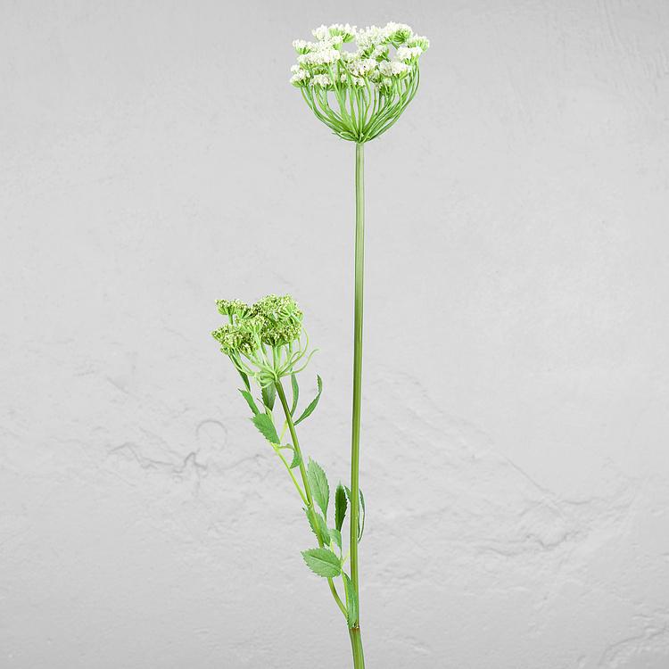 Искусственный цветок Anna Royal Middle Lace White Green 70 cm