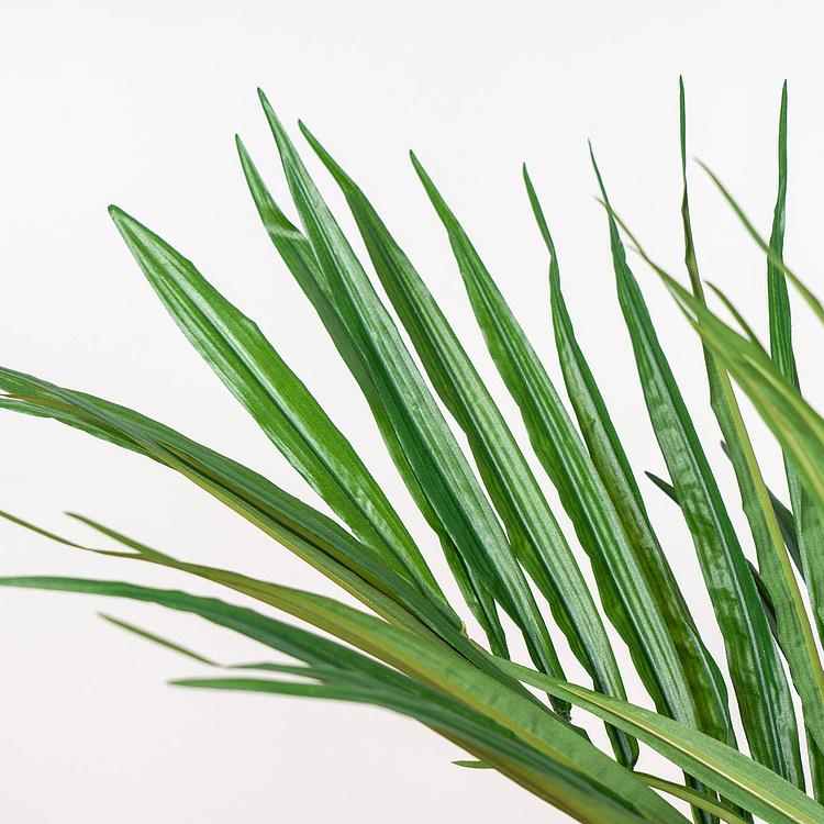 Искусственное дерево De Luxe Kentia Palm 170 cm - ракурс 3