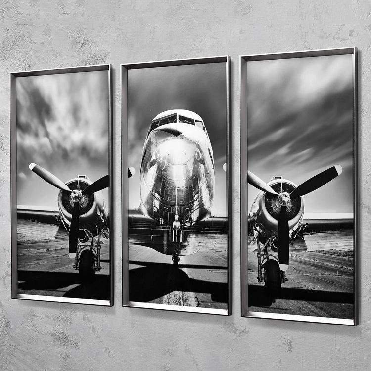 Модульный фото-принт в деревянной раме Аэроплан Set Of 3 Plane, Pewter Frame