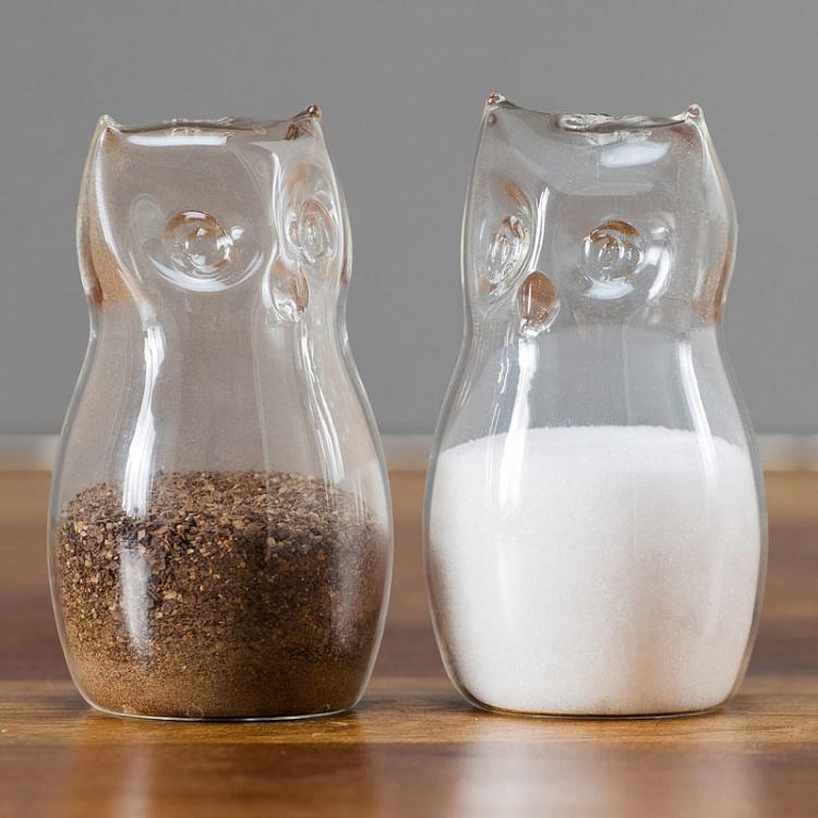 Salt And Pepper Owls In Clear Glass