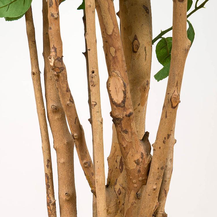 Искусственное растение Orange Tree With Fruits 180 cm - ракурс 5
