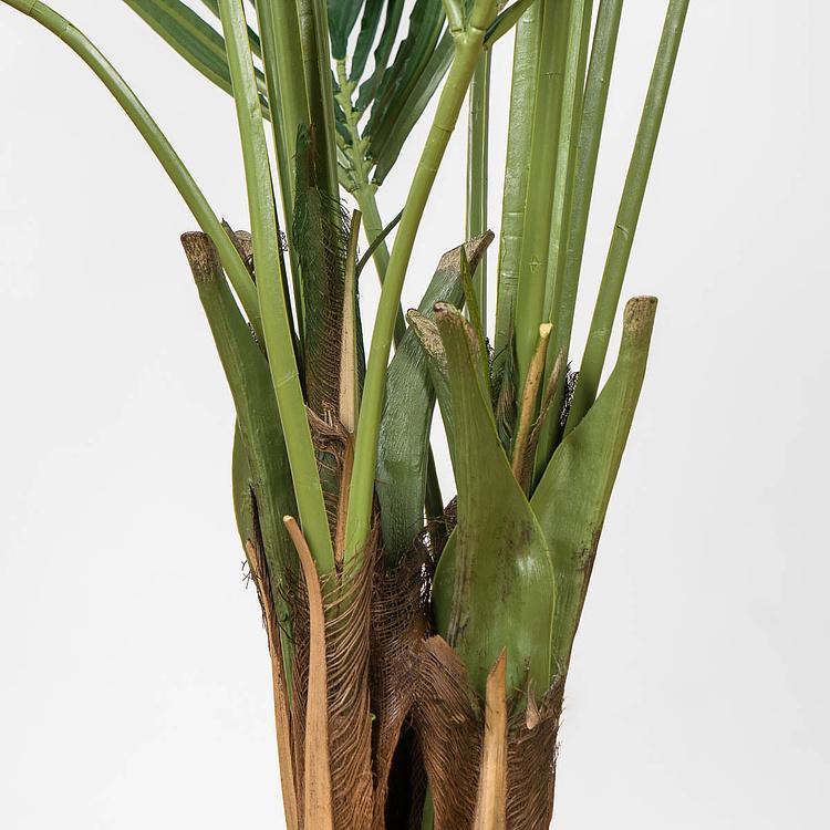 Искусственное дерево De Luxe Kentia Palm 170 cm - ракурс 4