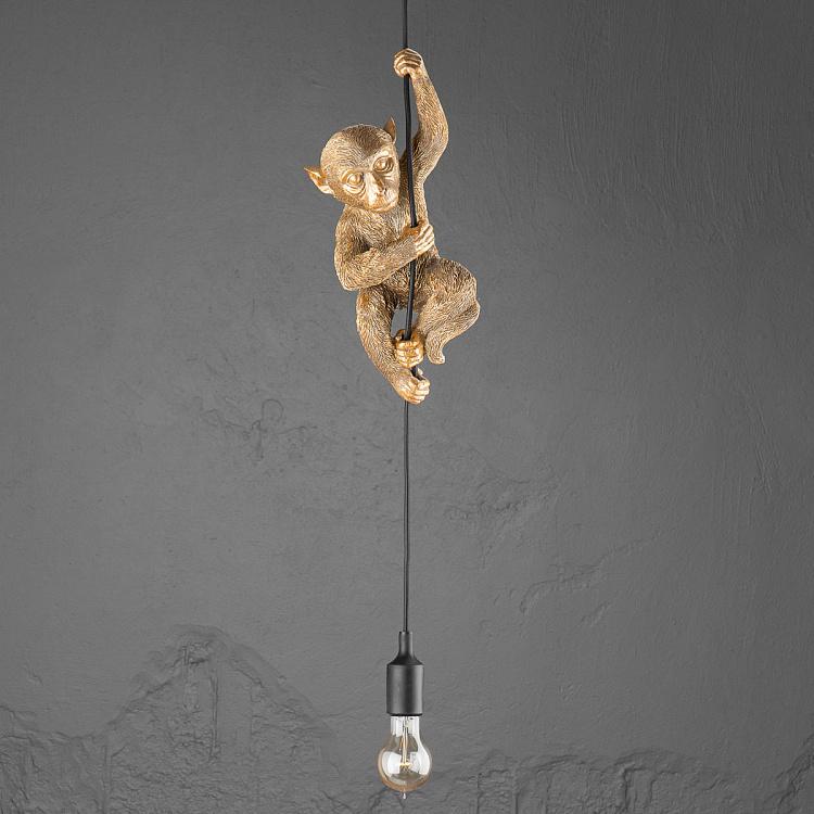 Подвесной светильник Обезьяна Чип Ceiling Lamp Monkey Chip