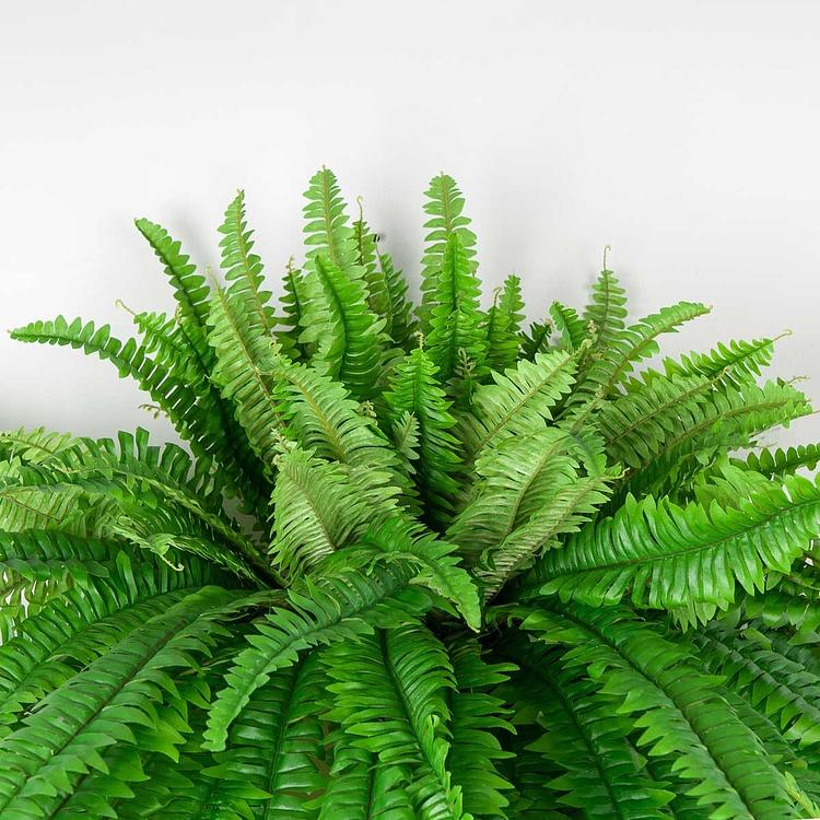 Искусственное растение Boston Fern Hanging 150 cm - ракурс 2