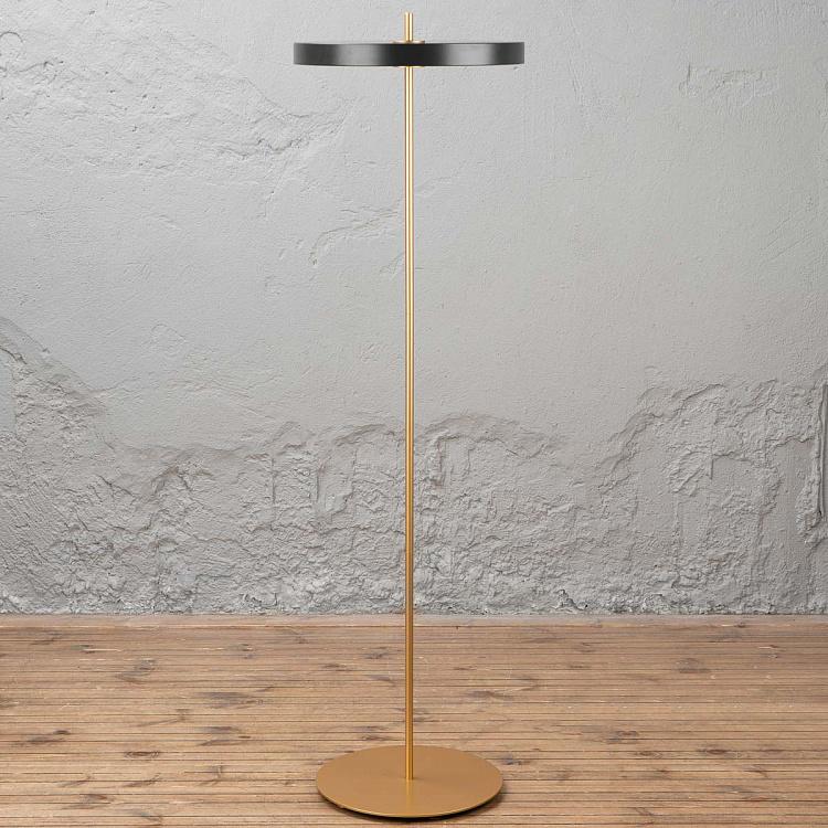 Торшер светодиодный Астерия Asteria Floor Lamp