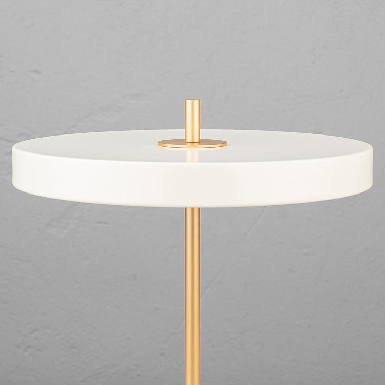 Настольная светодиодная лампа Астерия Asteria Table Lamp