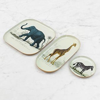 Поднос Safari Zebra Round Tray - ракурс 3