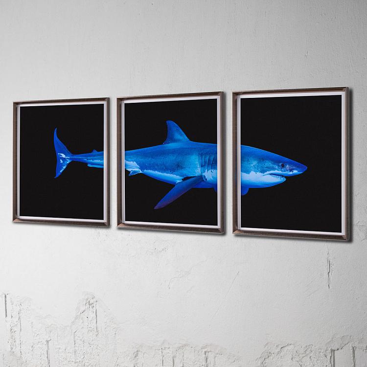 Модульный фото-принт в деревянной раме Большая белая акула Set Of 3 Great White Shark, Pewter Frame