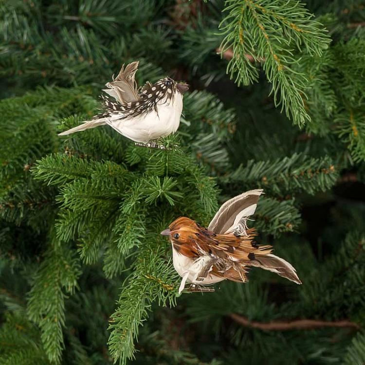 Набор из двух ёлочных игрушек на прищепке Пернатые птицы Set Of 2 Feather Birds On Clip Brown 11 cm