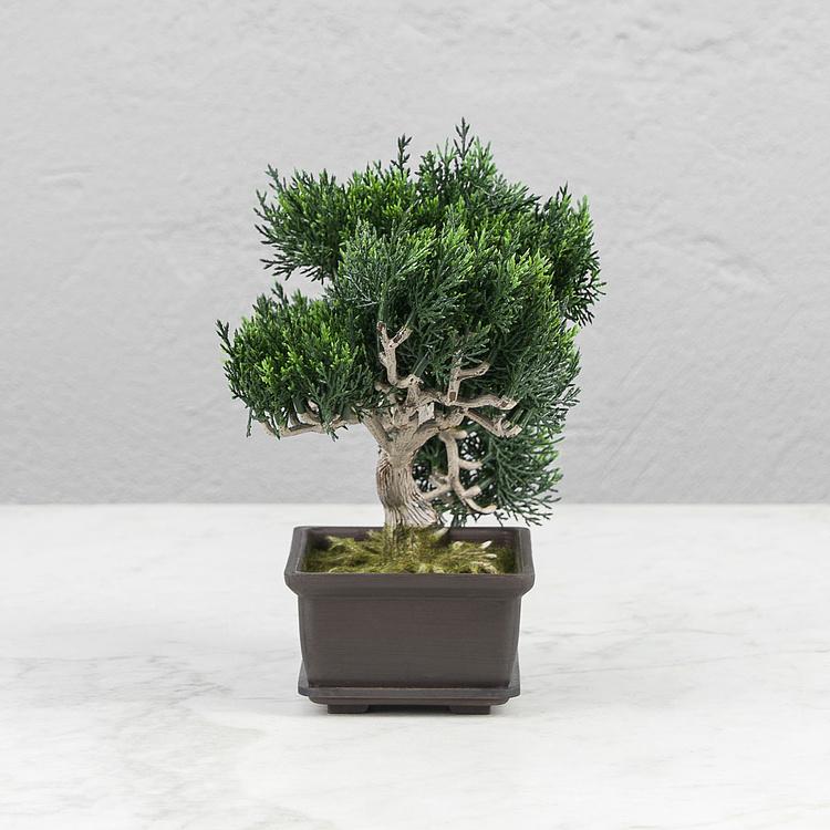 Искусственное растение Pine Mini Bonsai Potted 22 cm - ракурс 2
