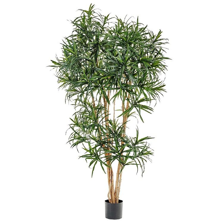 Искусственное растение Anita Dracaena Reflexa 150 cm