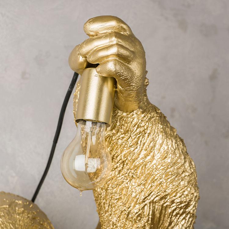 Бра Джек из джунглей Wall Lamp Jungle Jack Gold