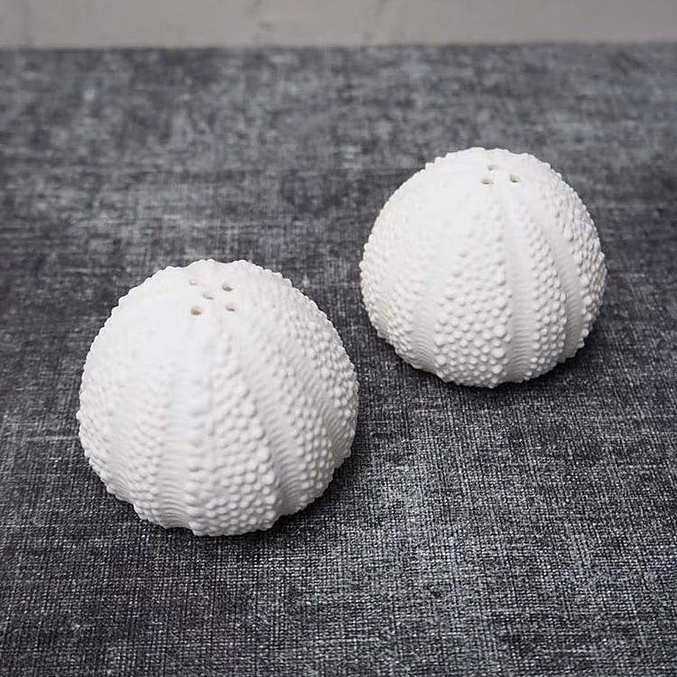 Набор для специй Морские ежи Set Of 2 Salt And Pepper Urchins