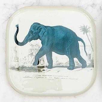 Поднос Safari Elephant Square Tray