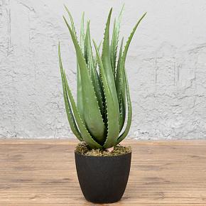 Искусственное растение Aloe 67 cm