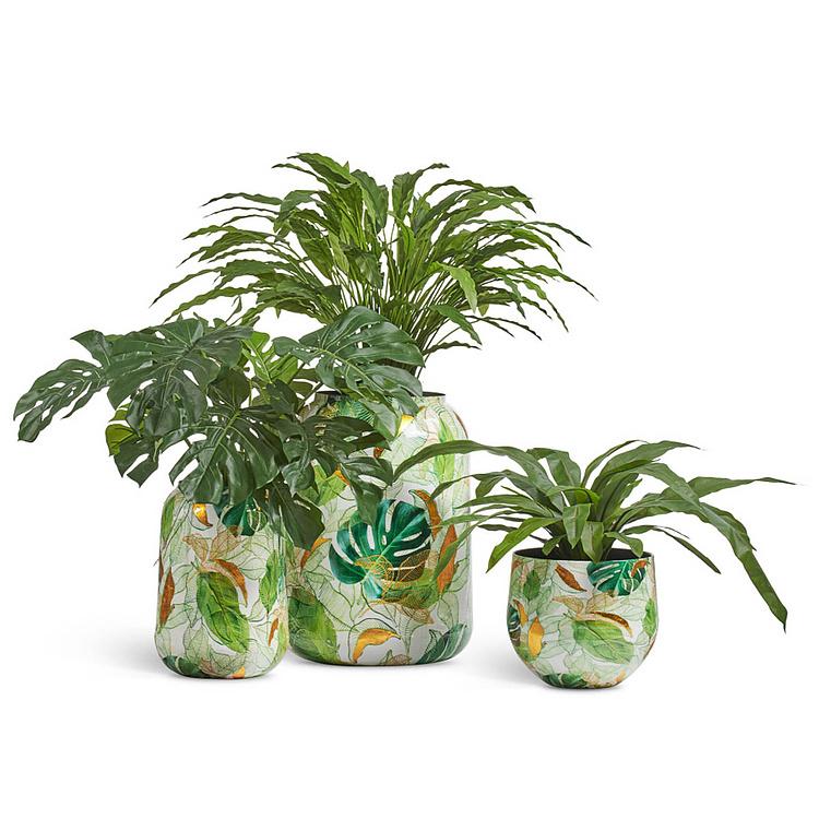 Кашпо Effectory Savage Garden Bowl Pot Botanical Small - ракурс 3