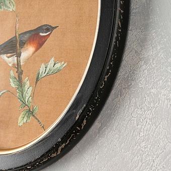 Картина-принт диптих Set Of 2 Oval Frames With Birds Philomene