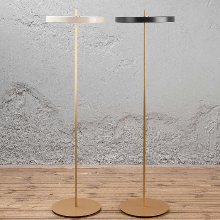 Торшер светодиодный Астерия Asteria Floor Lamp