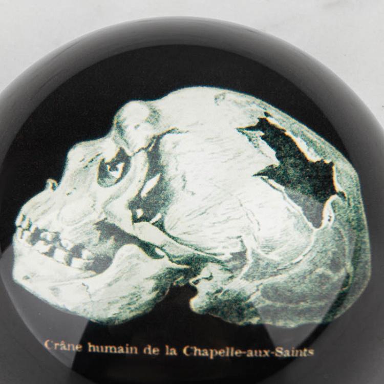 Пресс-папье с изображением черепа Glass Paperweight Skull