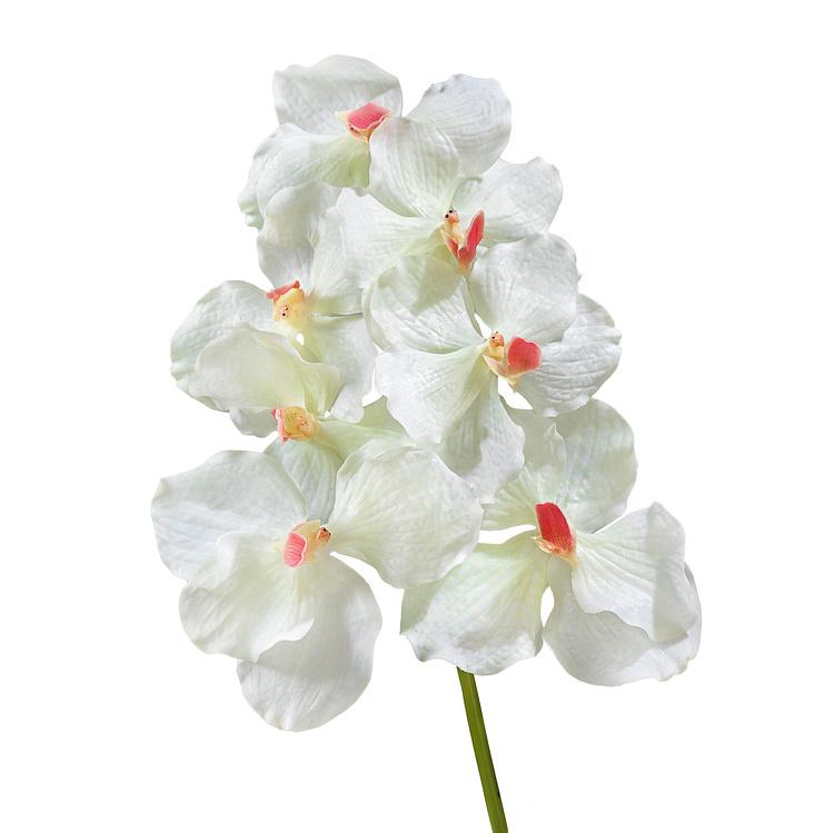 Искусственный цветок Vanda Orchid White With Pink Center 36 cm