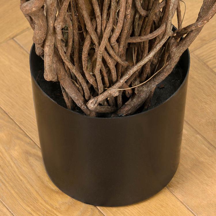 Искусственное дерево De Luxe French Ficus Liana 210 cm - ракурс 6