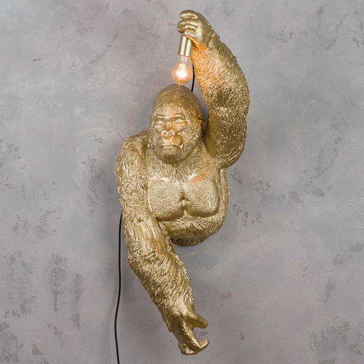 Бра Джек из джунглей Wall Lamp Jungle Jack Gold