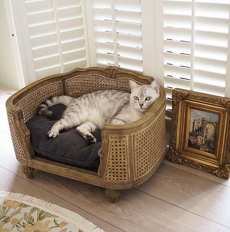 Коричневый  диван для собак/кошек Артур, S Arthur Sofa Small, Charcoal