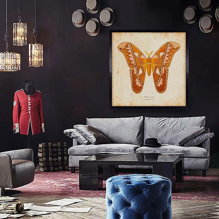 Картина-принт Коричневая Бабочка, бежевый фон Entomology Brown Natural Butterfly