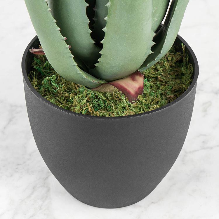 Искусственное растение Aloe 57 cm - ракурс 4