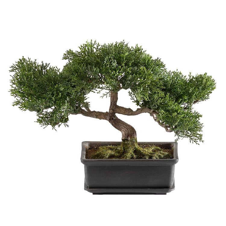 Искусственное растение Pine Mini Bonsai Potted 22 cm