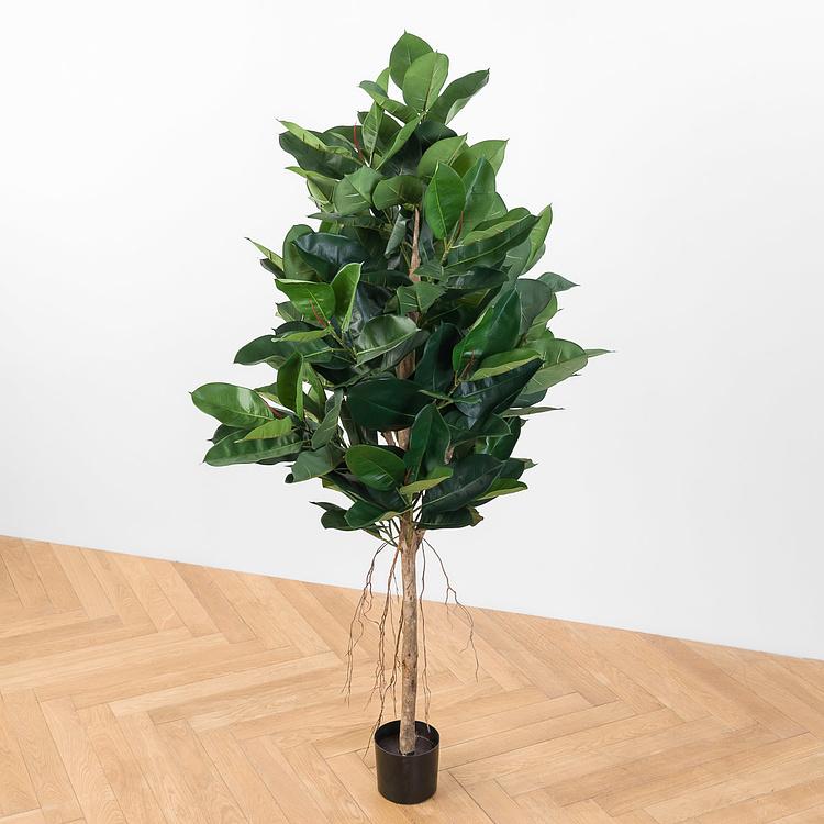 Искусственный Фикус Эластика, L Elastica Ficus Tree 180 cm