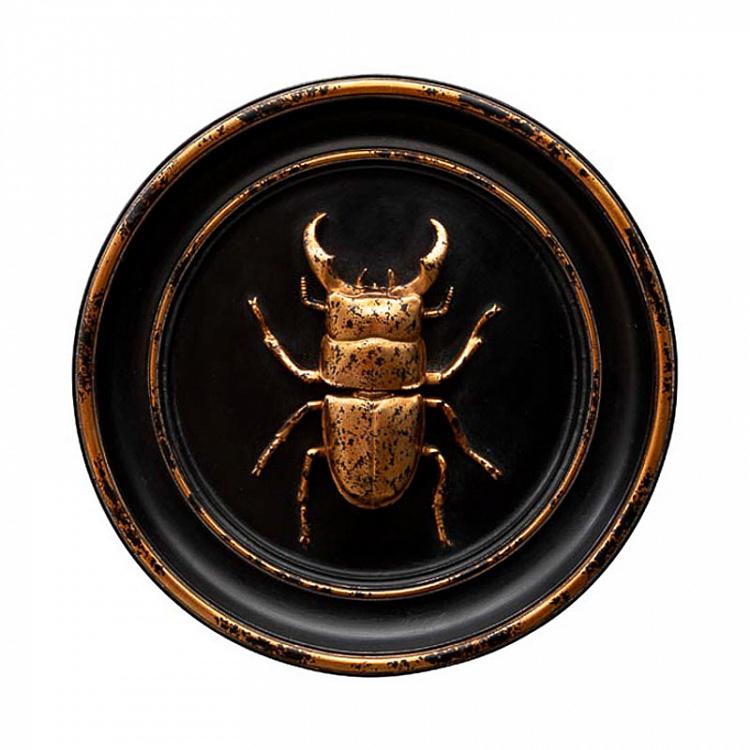 Настенное украшение Жук-олень золотой на чёрном Beetle In Frame Black And Gold