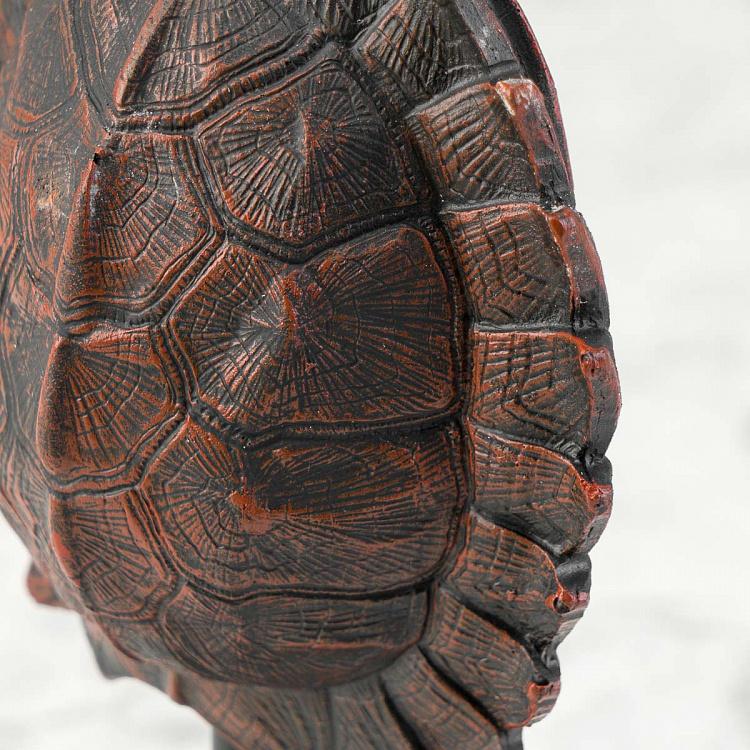 Статуэтка Панцирь черепахи на подставке Turtle Shell On Stand