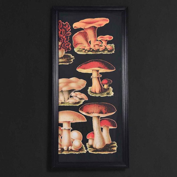 Модульная картина-принт Грибы из трёх частей Set Of 3 Mushrooms