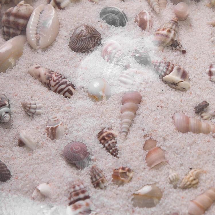 Украшение для интерьера с песком и ракушками в стекле Glass Tray With Sand And Shells