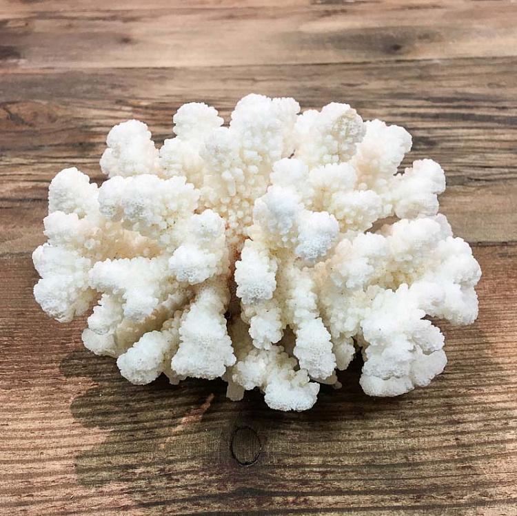 Винтажный натуральный морской коралл 12 Vintage Coral 12