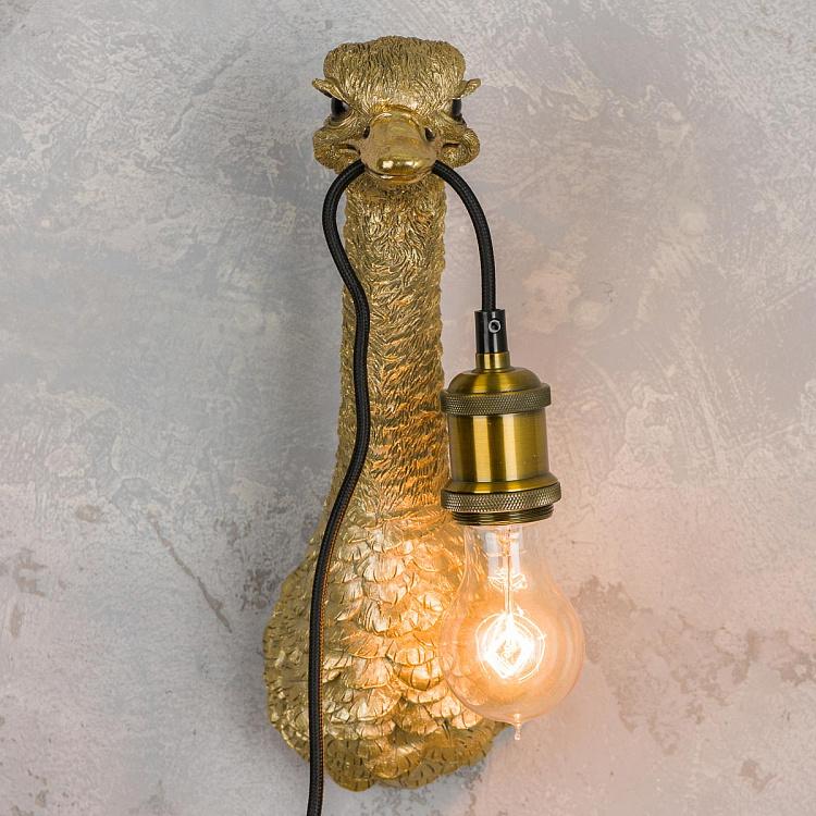 Бра Страусёнок Франц Иосиф Wall Lamp Baby Ostrich Franz Josef