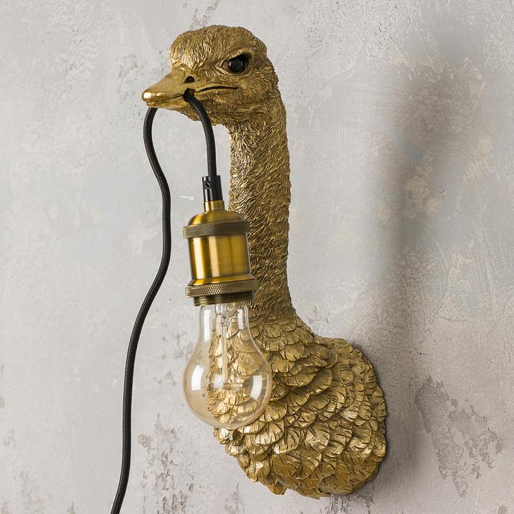 Бра Страусёнок Франц Иосиф Wall Lamp Baby Ostrich Franz Josef