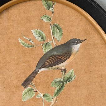Картина-принт диптих Set Of 2 Oval Frames With Birds Philomene