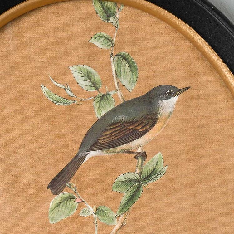 Картина-принт диптих Птицы Филомены Set Of 2 Oval Frames With Birds Philomene