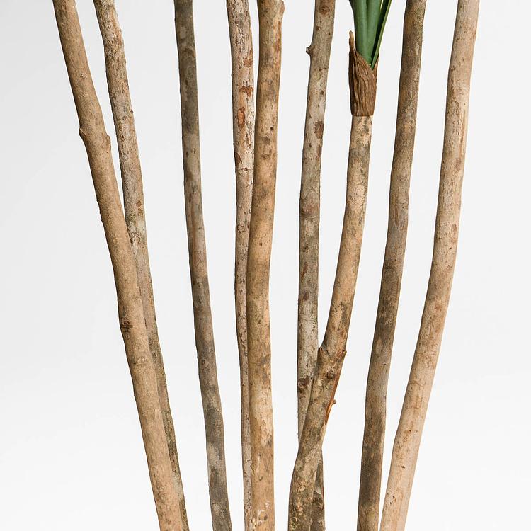 Искусственное дерево Nitida Nolina 150 cm - ракурс 3