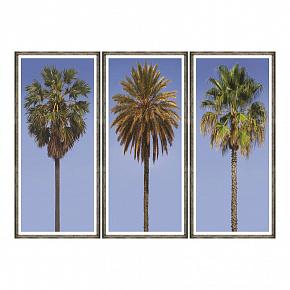 Set Of 3 Tall Palms, Pewter Frame