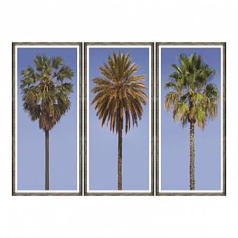 Set Of 3 Tall Palms, Pewter Frame